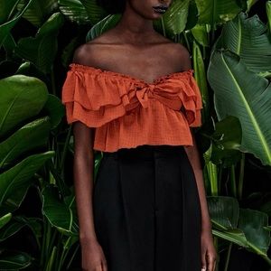 Zara ruffled crop top
